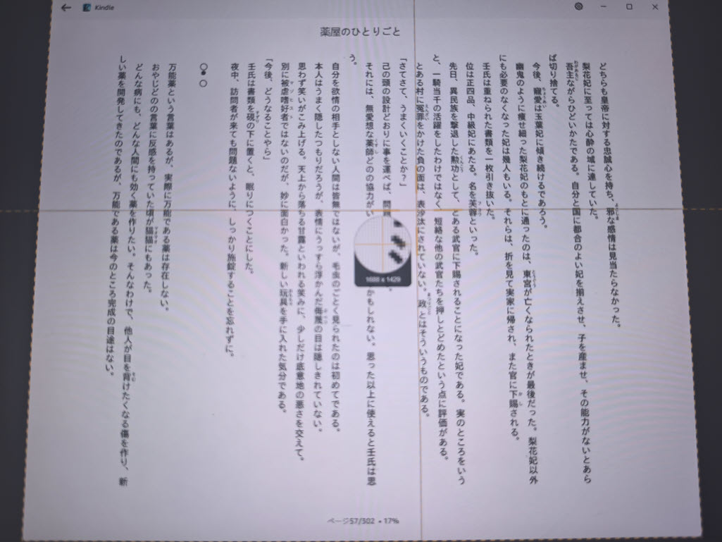 kindleスクリーンショット